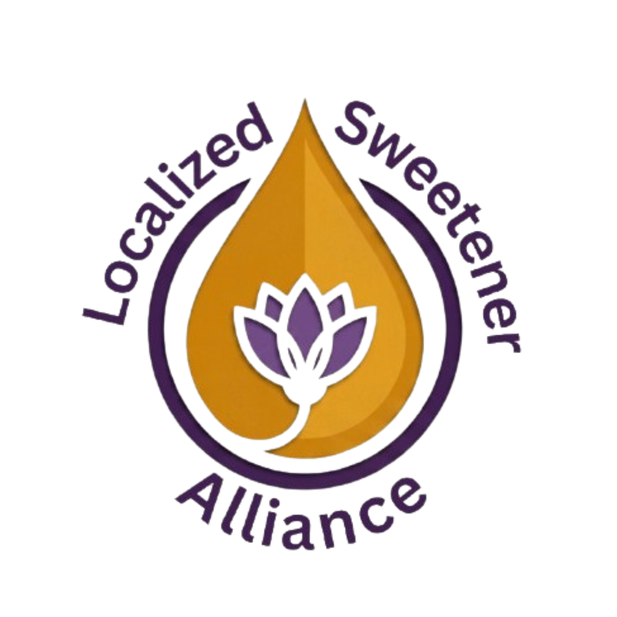 LSA Logo Mark